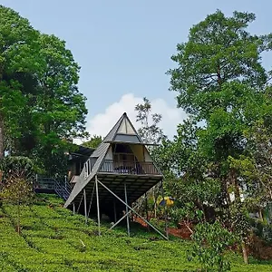 vythiri-stream-view.kerala-hotels.net/